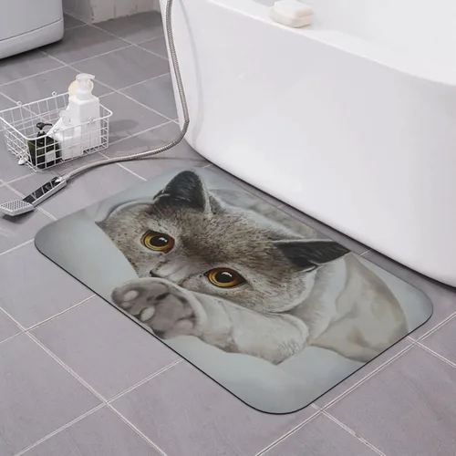 Tapete de baño para gatos, tierra de diatomeas, súper absorbente, antideslizante, de secado rápido, tapete de baño o cocina, 16 x 24 pulgadas