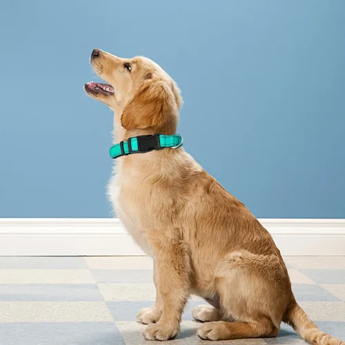 Miniatura 2 de Collar reflectante para perro, ajustable de neopreno suave acolchado de nailon para mascotas con hebilla para perros extra grandes, verde azulado