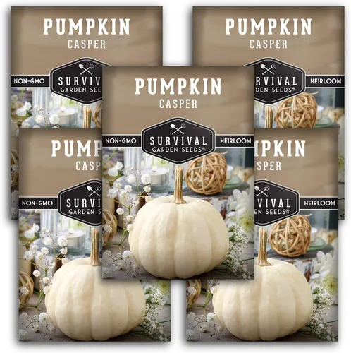 Survival Garden Seeds - Semillas de calabaza Casper para plantar - 5 paquetes con instrucciones para plantar y cultivar en tu huerto casero -