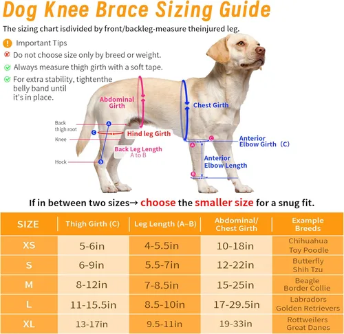Miniatura 3 de Rodillera ajustable para perros – Soporta lesiones de Acl y Ccl, ayuda a aliviar el dolor en las articulaciones, estabiliza los ligamentos, mejora