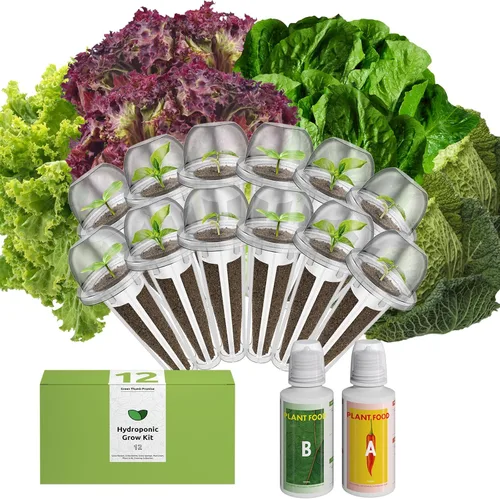 Miniatura 9 de inbloom Kit de vainas de semillas verdes para ensalada orgánica para AeroGarden, sistema de cultivo hidropónico Ahopegarden, alimento bajo