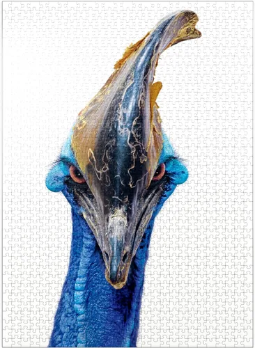 Miniatura 8 de MyPuzzle Cassowary - Rompecabezas prémium de 100 piezas, fabricado en Estados Unidos