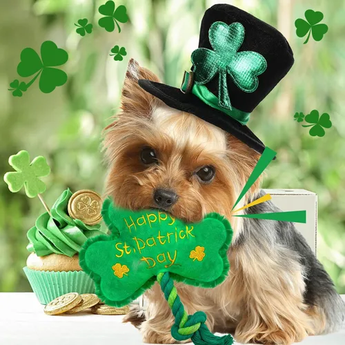 Miniatura 3 de Juguete para perros del día de San Patricio, juguetes chirriantes para perros con cuerda, juguetes de peluche de trébol de trébol, regalos del día