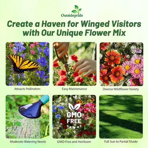 Miniatura 2 de Outsidepride Mezcla de semillas de flores silvestres Birds & Butterfly - 1 libra. Mezcla premium de semillas de flores silvestres anuales y perennes