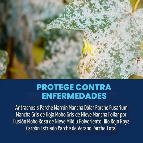 Miniatura 2 de BioAdvanced Control de Hongos para Césped en Gránulos, 10 libras