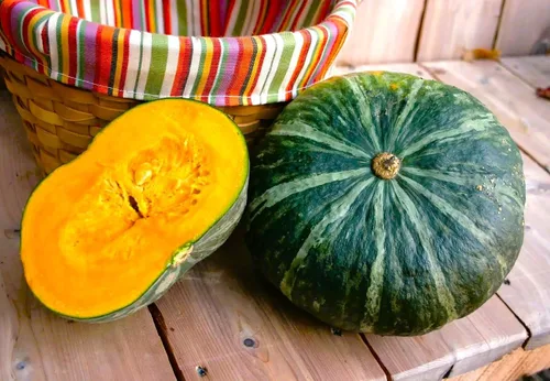 Miniatura 5 de TomorrowSeeds - Semillas de calabaza Kabocha - Más de 20 unidades - para plantar calabaza japonesa verde Hokkaido Ebisu asiático Tetsukabuto