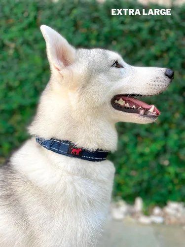Miniatura 7 de Tuff Pupper Collar de perro resistente con asa Collar de nailon balístico resistente Collar de perro reflectante acolchado con herrajes de acero