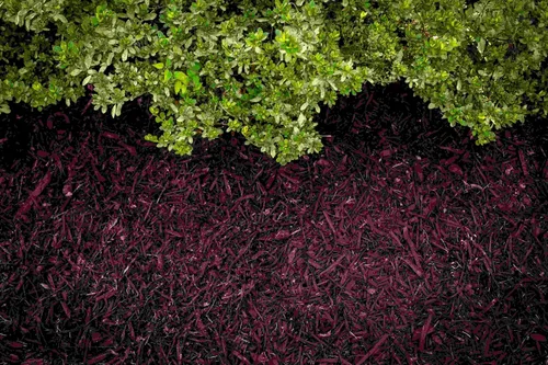 Miniatura 2 de Tinte de mantillo marrón, cobertura de 3,200 pies cuadrados – Colorante de mantillo para paisajismo y camas de jardín, tinte de mantillo de madera
