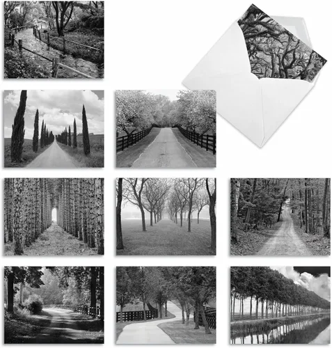 Miniatura 11 de The Best Card Company - Caja de 10 tarjetas para todas las ocasiones en blanco (4 x 5.12 pulgadas) - Tarjetas de paisaje panorámico surtidas