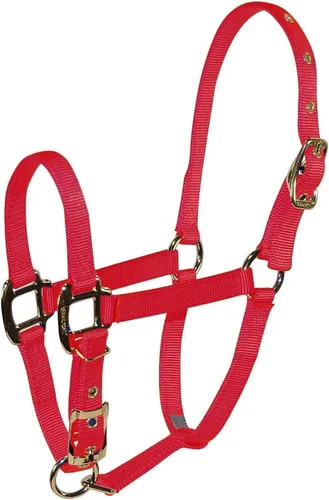 Miniatura 10 de Hamilton Caballo de lujo Halter, nailon de triple capa de 3/4 pulgadas con correa ajustable para la barbilla, potro o mini caballo, 100-200 libras