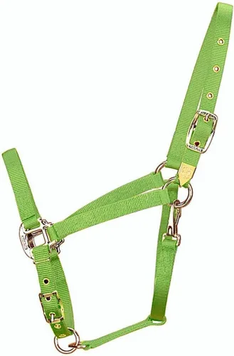 Miniatura 19 de Hamilton, Halter de 1 pulgada con barbilla ajustable, azul baya, 800-1100 libras