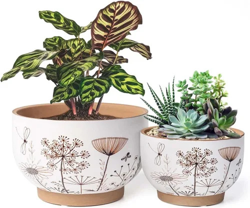 YBX Macetas de Cerámica de 8 Pulgadas + 6 Pulgadas para Plantas, Macetas para Flores Suculentas con Agujeros de Drenaje, Jardineras de Terracota