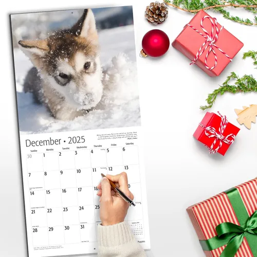 Miniatura 5 de RED EMBER Calendario de pared 2025 con diseño de cachorros de 12 meses, 12 x 24 pulgadas, abierto, papel grueso y resistente, para regalo