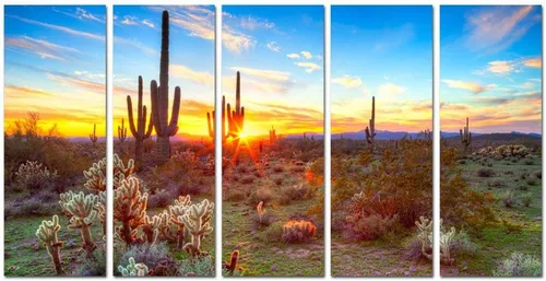 sechars 5 piezas de pintura Arizona extragrande del desierto de Sonora al atardecer impresión en lienzo Arizona Cactus paisaje ilustraciones para