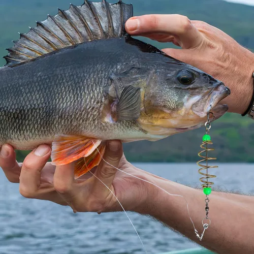 Miniatura 2 de Alimentador luminoso de pesca de carpa, lanzador de cebo, jaula de cebo, jaula de cebos de alimentador de pesca, señuelos jaula de canasta
