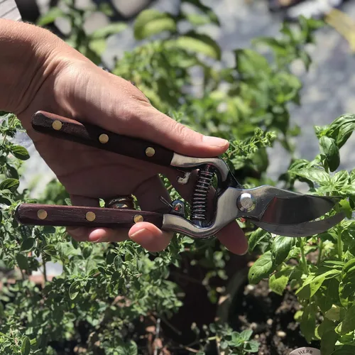 Miniatura 2 de Verve CULTURE - Tijeras de cocina tailandesas y tijeras de podar para jardinería, hechas a mano, multiusos, con cuchillas de acero inoxidable y asas
