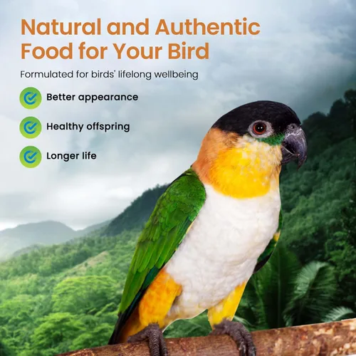 Miniatura 4 de Harrison's Bird Foods Fórmula fina de alta potencia, orgánica certificada, sin OMG para aves pequeñas a medianas, pellets de grado humano para muda