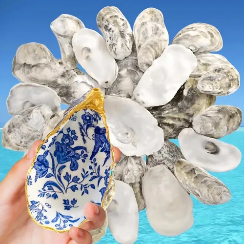 Miniatura 7 de Concha de ostra grande de 3 a 4 pulgadas para manualidades, 15 conchas de ostras naturales reales a granel para decoración del hogar, decoración