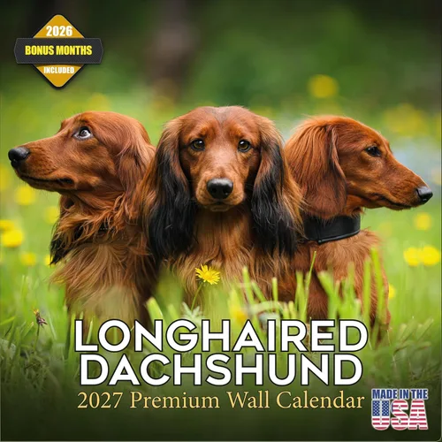 Miniatura 12 de Calendario 2025 2026 de cachorros Cocker Spaniel - Calendario mensual de pared de raza de perro - 12" x 24" abierto - Papel grueso sin sangrado