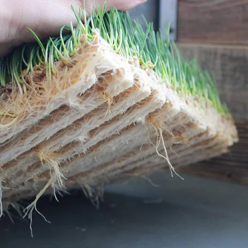 Miniatura 4 de Handy Pantry Pro Micro Jute Microgreens - Rollo de tapete de cultivo – 10 pulgadas de ancho por 100 pies de largo – 1 rollo – Almohadilla de cultivo