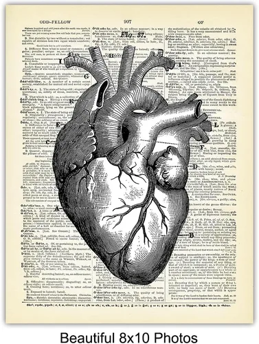Miniatura 5 de Corazón, pulmones, cerebro, órganos de anatomía intestinal – Diccionario reciclado, impresiones artísticas de pared para clínica médica, oficina