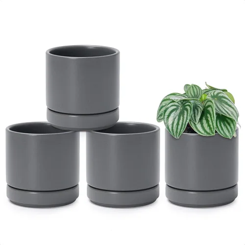 Miniatura 13 de D'vine Dev Juego de 4 macetas pequeñas de cerámica, maceta para suculentas de 3.5 pulgadas para plantas con orificio de drenaje y platillo