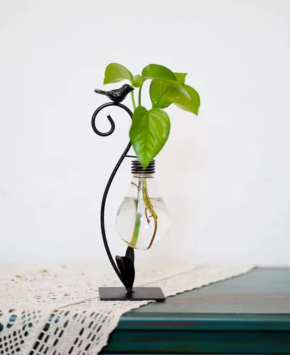 Terrario de plantas, jarrones hidropónicos para decoración del hogar, moderno soporte creativo para terrario de pájaros, regalos ideales