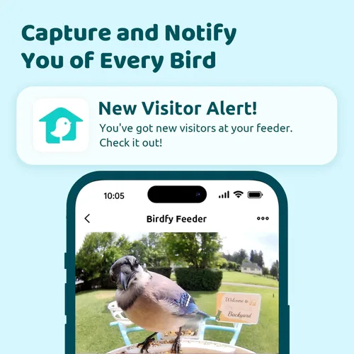 Miniatura 2 de NETVUE by Birdfy - Comedero inteligente para pájaros con cámara, cámara de observación de aves, video de captura automática y detección