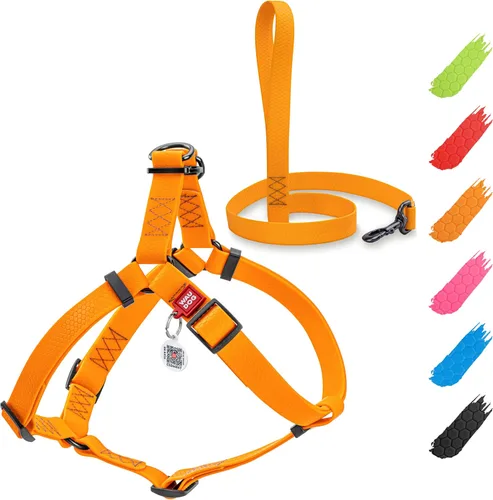 Miniatura 11 de WAUDOG Arnés ajustable impermeable para perro, resistente con cierre de metal duradero y placa de identificación QR, para niño y niña