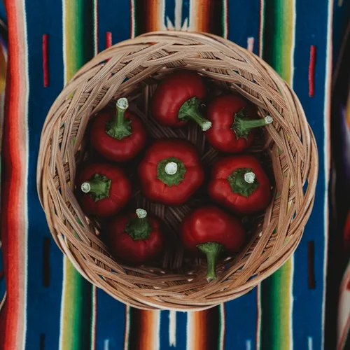 Miniatura 2 de Cascabel Chile Pepper - 25 semillas - Variedad de reliquia y polinizada abierta, semillas de vegetales sin OMG para plantar en el jardín doméstico