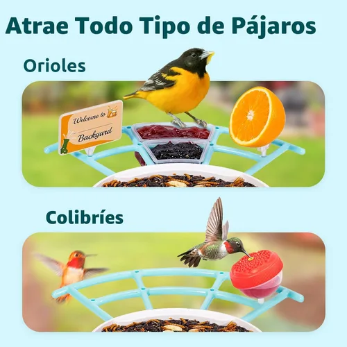 Miniatura 5 de NETVUE by Birdfy Pro Comedero Inteligente para Pájaros con Cámara y Panel Solar, Alertas de Llegada Instantáneas, Transmisión en Vivo y Visión Azul