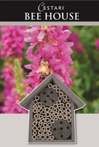 Miniatura 4 de Cestari Bamboo Tube Bee Hotel para abejas solitarias - Atrae polinizadores suaves a tu jardín con una abeja de madera segura certificada FSC