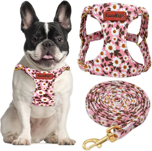 Miniatura 14 de OaaXbbECco Arnés suave y ajustable para cachorro, arnés suave y ajustable para perro y correa para perro, sin estrangulamiento, a prueba de escape