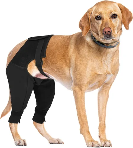 Manga de recuperación para perro, pierna trasera para dejar de lamer, cómodos pantalones de pierna trasera para heridas ACL TPLO después de la