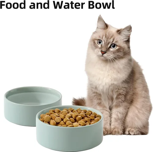 Miniatura 5 de Havniva Cuencos de agua para gatos, juego de dos, cuencos de cerámica de 5.1 pulgadas para comida y agua para gatos, cuencos de comida para mascotas