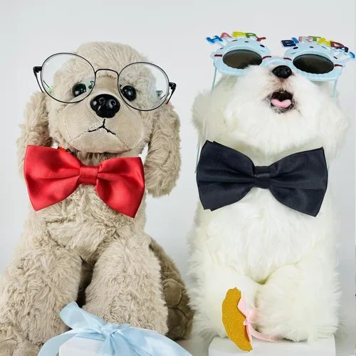 Miniatura 5 de Pajarita negra y roja para perros, lazo rojo y negro para perro Koolmox con collar ajustable para perros medianos y grandes, gatos, mascotas, boda