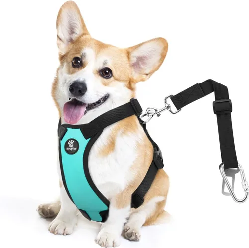 Miniatura 11 de VavoPaw cinturón de seguridad para perro, arnés de coche con peto de seguridad y hebilla ajustable para vehículo, cinturón de seguridad de nailon