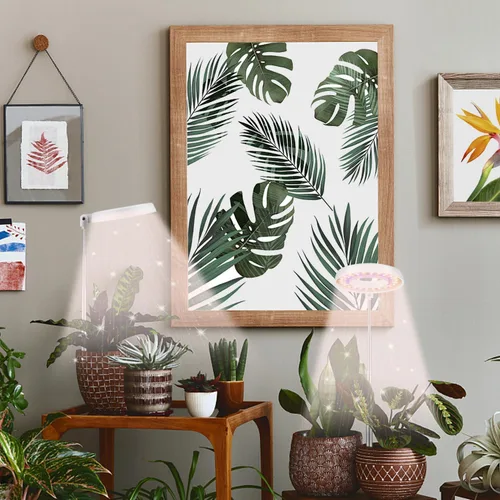 Miniatura 2 de GooingTop Luz LED de Crecimiento, Lámpara de Planta Halo para Plantas de Interior en Crecimiento, Luz Blanca Baja para Suculentas y Plantas Pequeñas