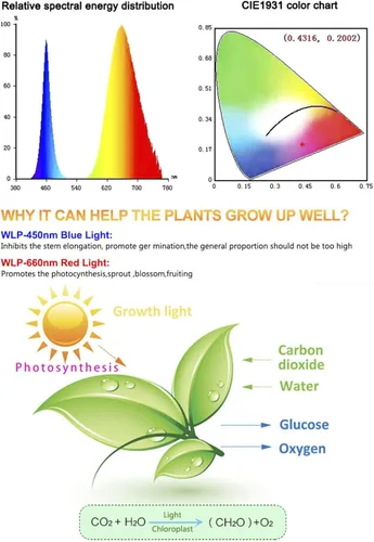 Miniatura 4 de Luces de cultivo para inicio de semillas, tiras de luz LED de espectro completo de 16.4 pies, rojo y azul 5:1, lámpara de cultivo flexible