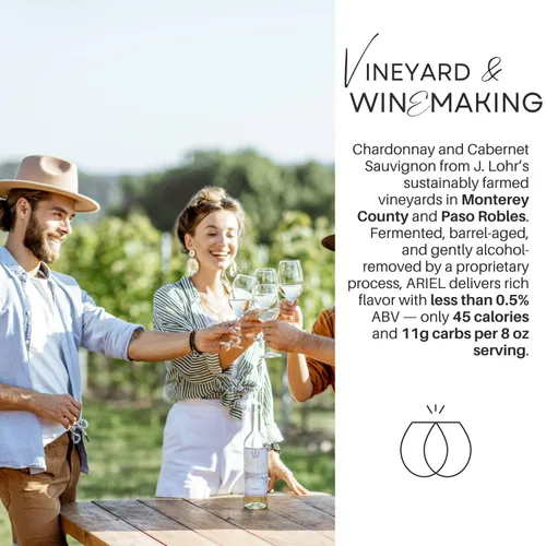 Miniatura 4 de Ariel Vineyards Cabernet Sauvignon vino sin alcohol con tarjeta de degustación BeClink y guía Alternativa al vino tinto de California sin alcohol