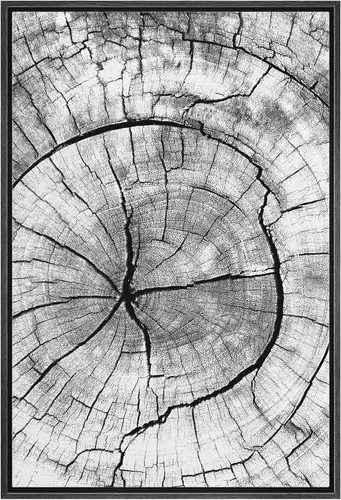 Wall26 - Arte de pared con marco estampado en lienzo, bosque negro y blanco, árbol de madera con detalles de anillo, naturaleza, naturaleza salvaje,