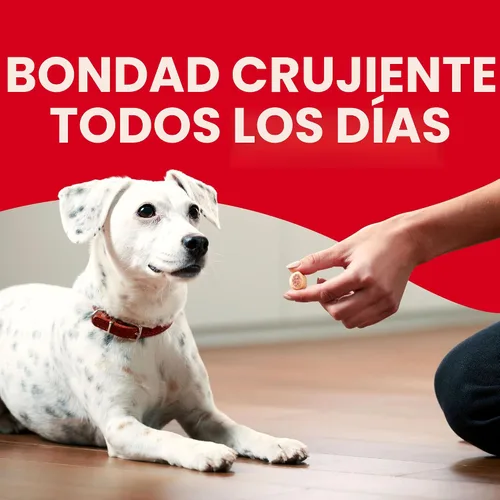 Miniatura 11 de Milk-Bone MaroSnacks - Golosinas para perros, paquetes de recambio de 38 onzas (paquete de 2) con médula ósea real y calcio
