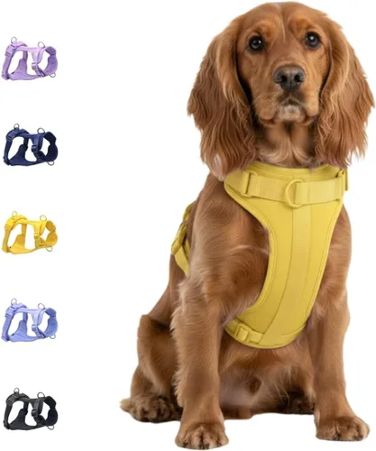 Miniatura 14 de Dog Harness - No Pull Adjustable Front Clip Vest with Soft Padding, 3Leash Clips, and No-Choke Oxford Design Comfort for Small, Medium, and Large