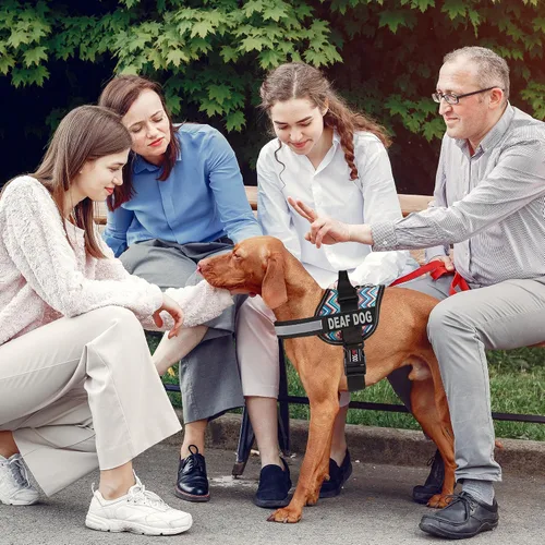 Miniatura 7 de Dogline Unimax - Arnés para perro con parches para perros sordos reflectantes sin tirones, correas ajustables, neopreno transpirable para médicos