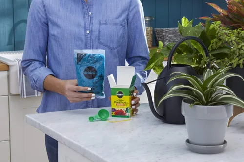 Miniatura 2 de Miracle-Gro Alimento vegetal soluble en agua multiusos de 8 onzas, paquete de 2