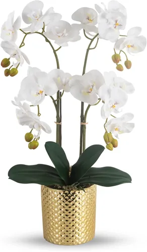 Ziwon - Flores artificiales de orquídea en maceta de cerámica dorada | Orquídeas falaenopsis sintéticas, centro de mesa, decoración de oficina en