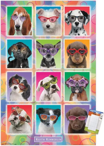 Miniatura 17 de Trends International Keith Kimberlin - Póster de pared con diseño de cachorros, gafas de sol, 14.725 x 22.375 pulgadas, versión enmarcada de madera