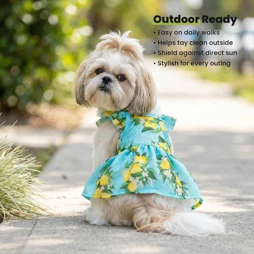 Miniatura 7 de Vestido de limón para perros Fitwarm, ropa para perros pequeños para niñas, ropa para mascotas para gatos, azul teja, amarillo, verde, XS