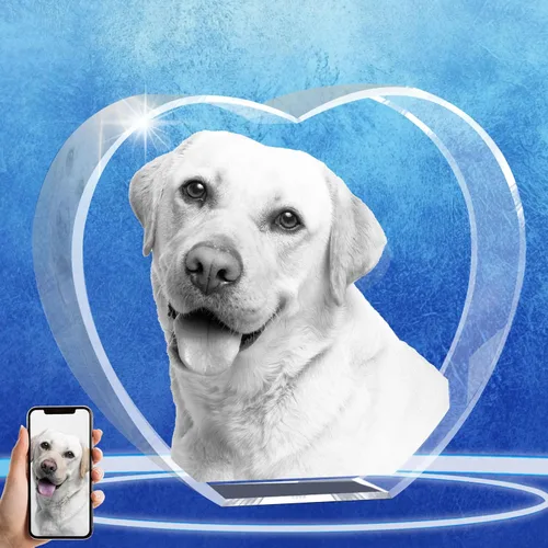 Regalos conmemorativos personalizados para mascotas, marco de fotos de cristal 3D de perros o gatos, marco de fotos grabado con láser personalizado