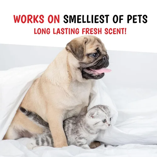 Miniatura 5 de Warren London Wet Kiss - Aerosol de colonia para perros, leche y miel, eliminador de olores de 2 onzas y ambientador para perros y gatos
